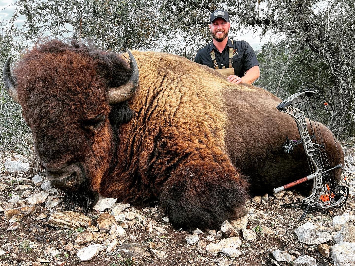 Bison taken with GrizzlyStik, bowhunting success story