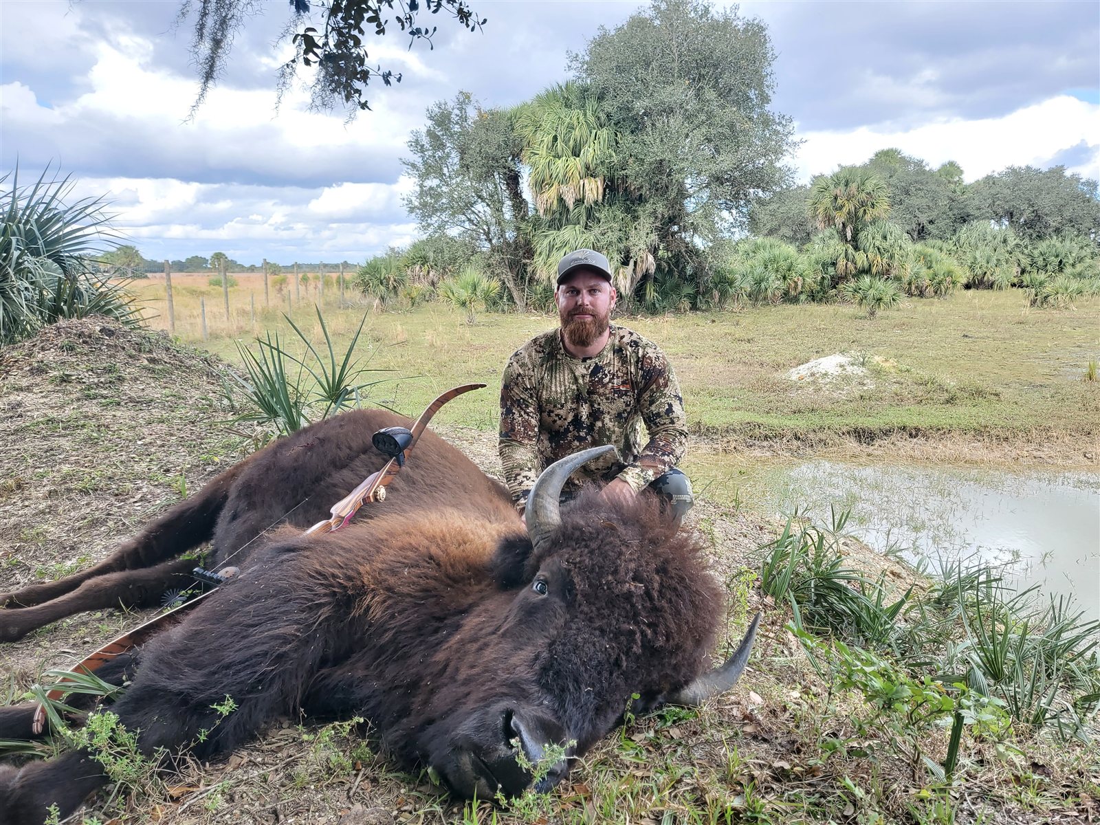 Bison taken with GrizzlyStik, bowhunting success story