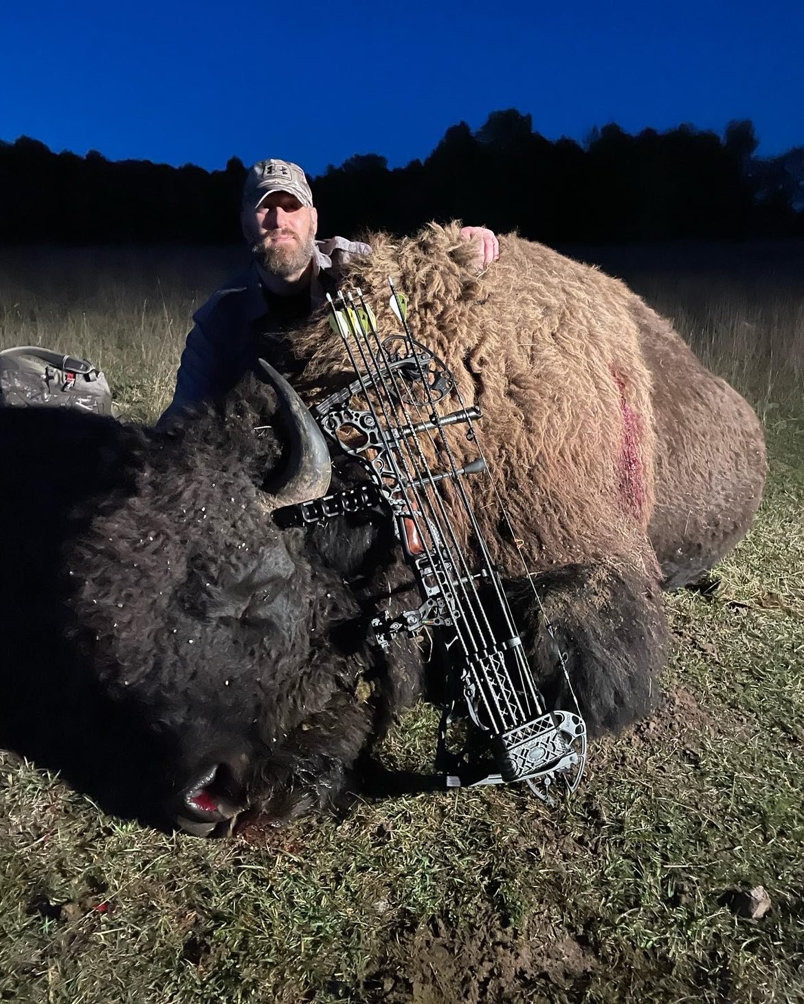 Bison + Fallow Deer taken with GrizzlyStik, bowhunting success story