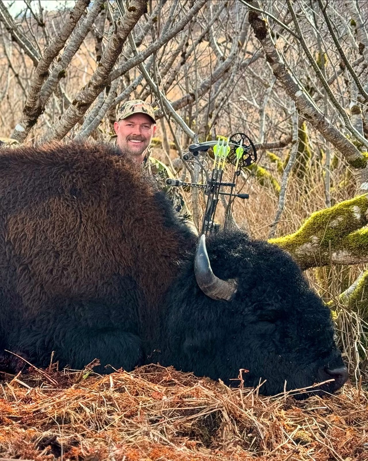 Bison taken with GrizzlyStik, bowhunting success story