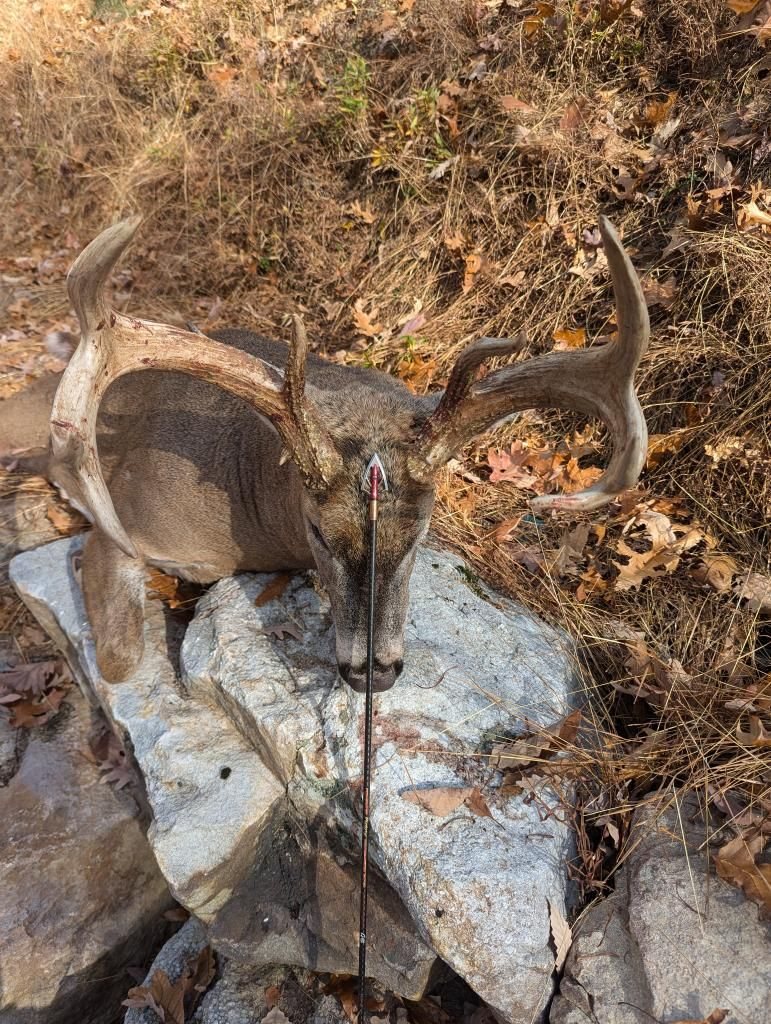 Buck taken with GrizzlyStik, bowhunting success story