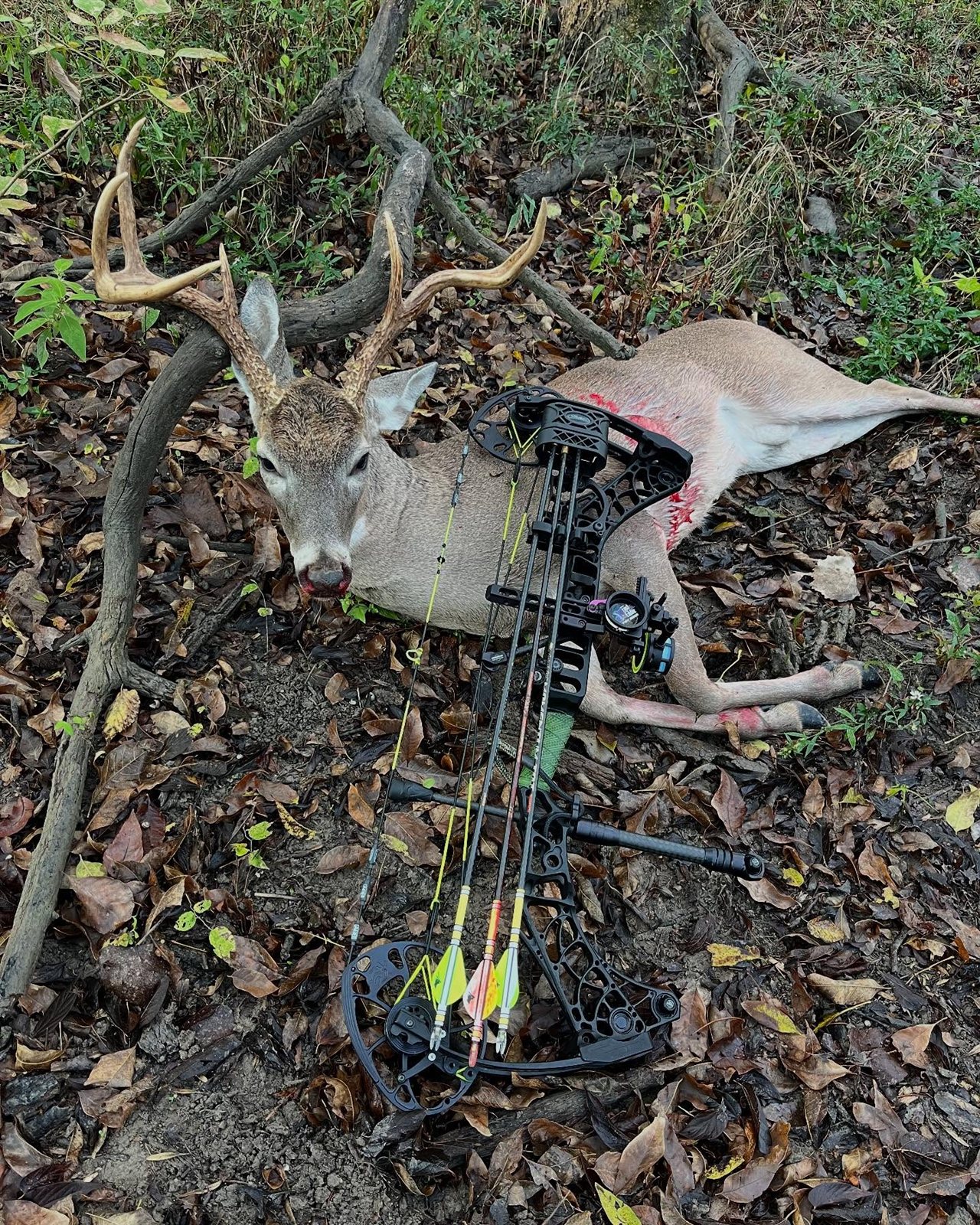 Buck taken with GrizzlyStik, bowhunting success story