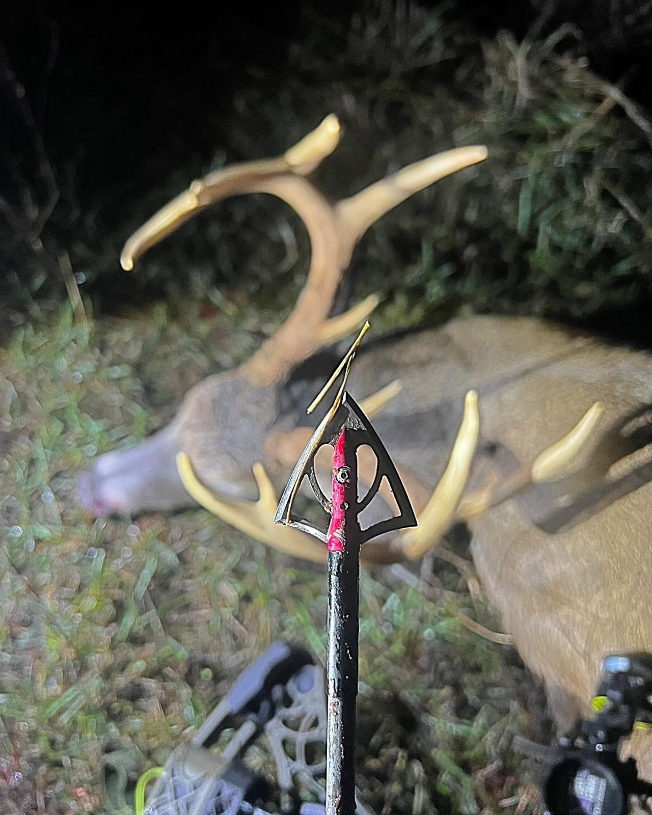 Buck taken with GrizzlyStik, bowhunting success story