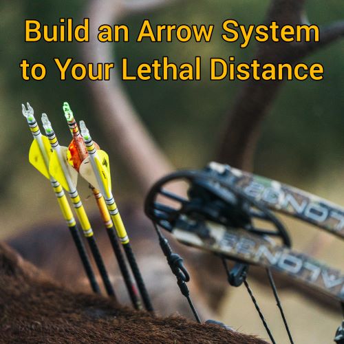 Build an Arrow System to Your Lethal Distance