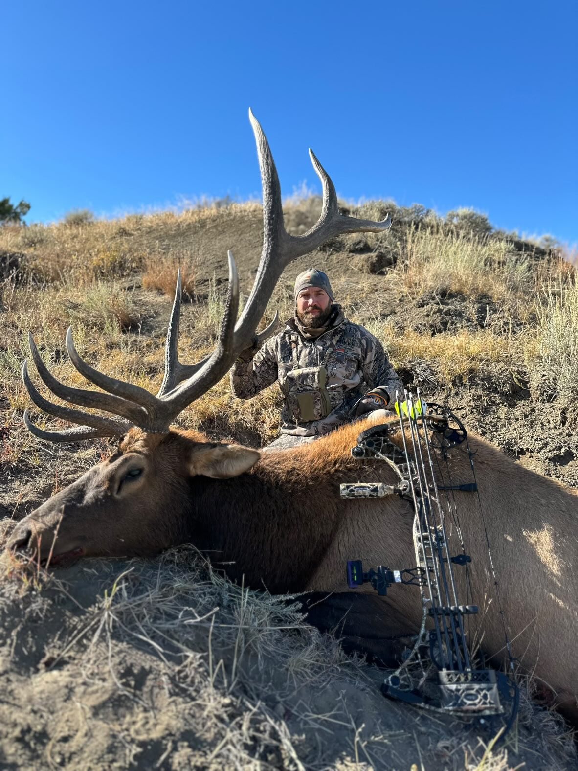 Bull Elk taken with GrizzlyStik, bowhunting success story