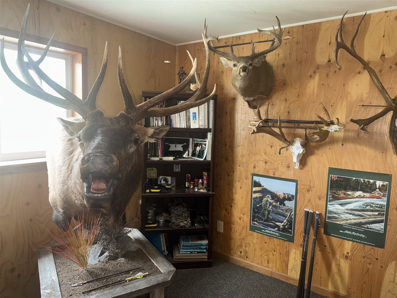Bull Elk taken with GrizzlyStik, bowhunting success story