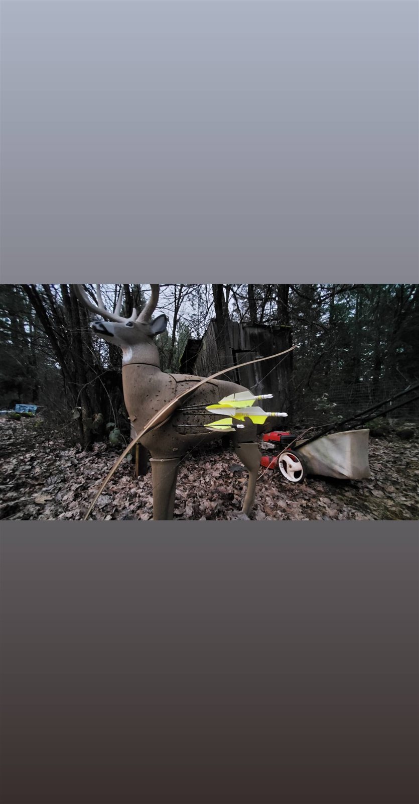 Bull Elk + Son's Bull taken with GrizzlyStik, bowhunting success story
