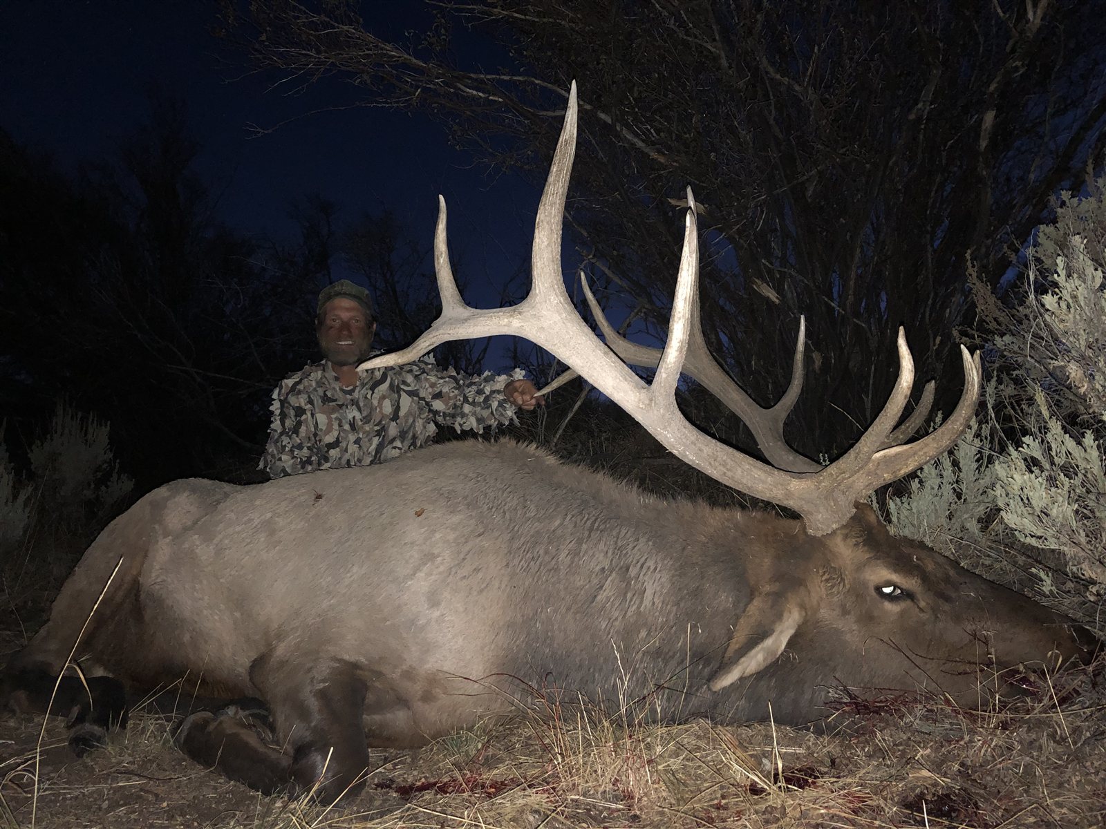 Bull Elk taken with GrizzlyStik, bowhunting success story