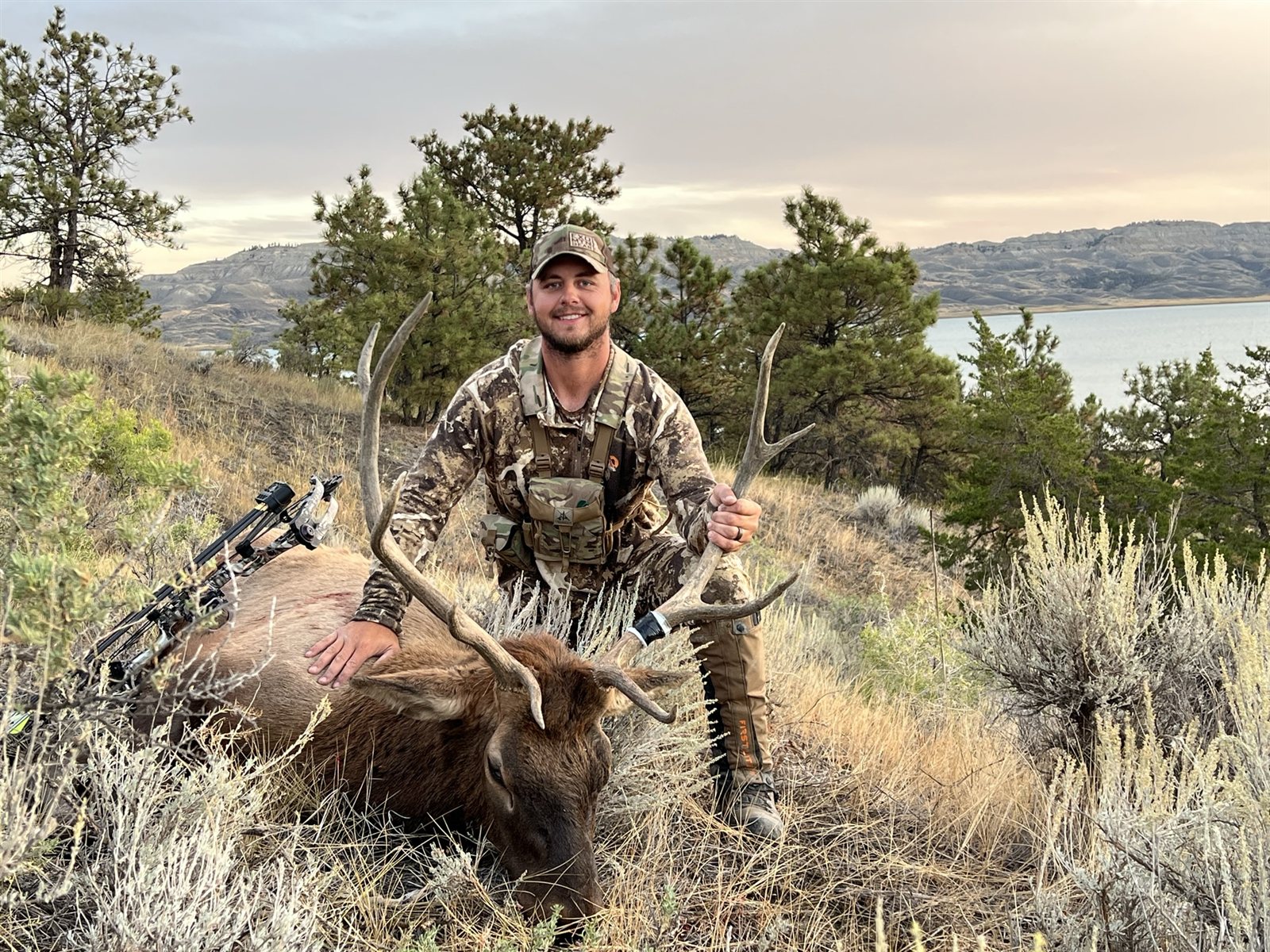 Bull Elk taken with GrizzlyStik, bowhunting success story