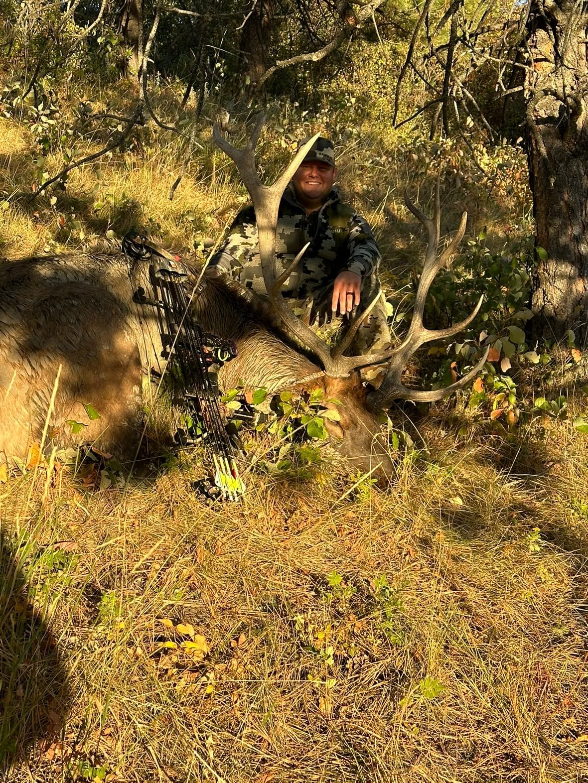 Elk and Stag taken with GrizzlyStik, bowhunting success story