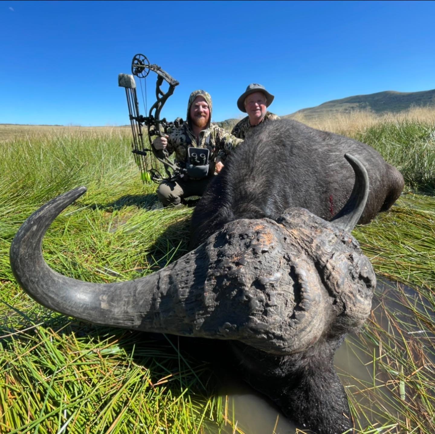 Cape Buffalo taken with GrizzlyStik, bowhunting success story