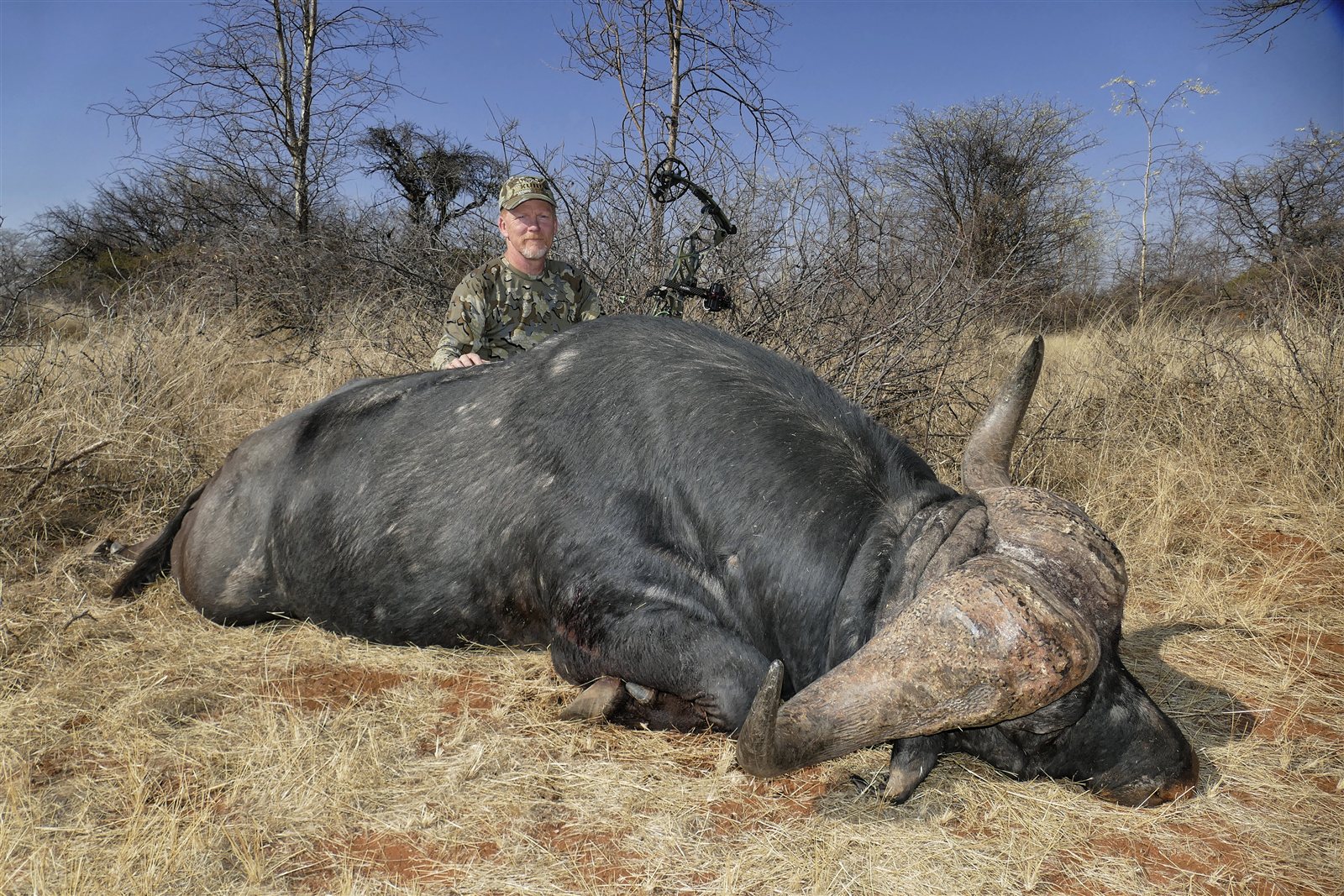 Cape Buffalo taken with GrizzlyStik, bowhunting success story
