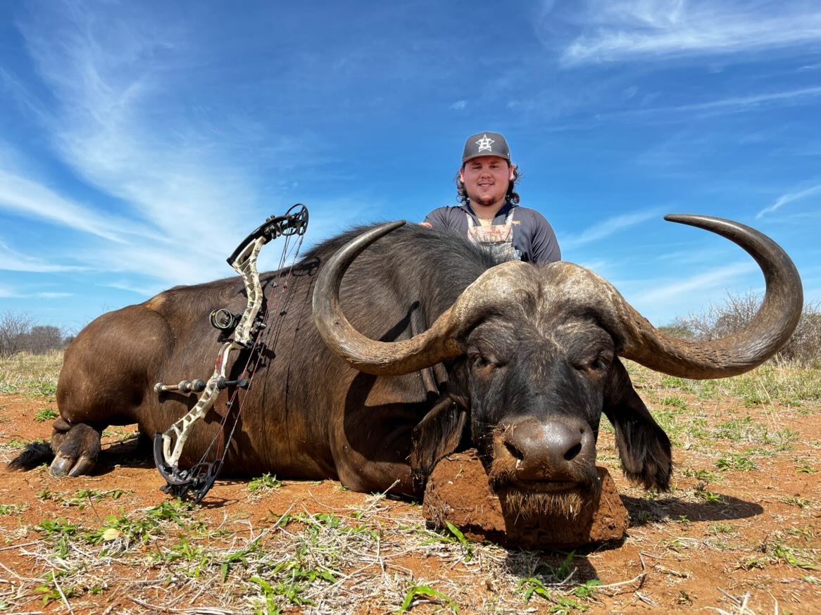 Cape Buffalo + Eland taken with GrizzlyStik, bowhunting success story