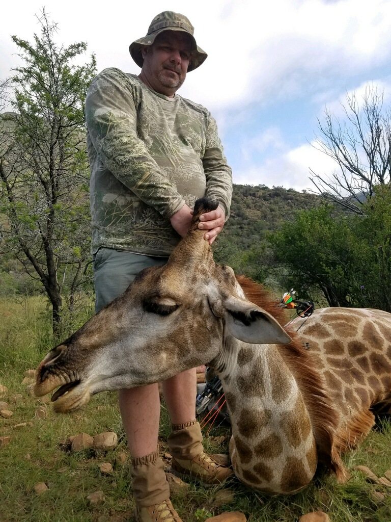 Cape Buffalo + Giraffe taken with GrizzlyStik, bowhunting success story