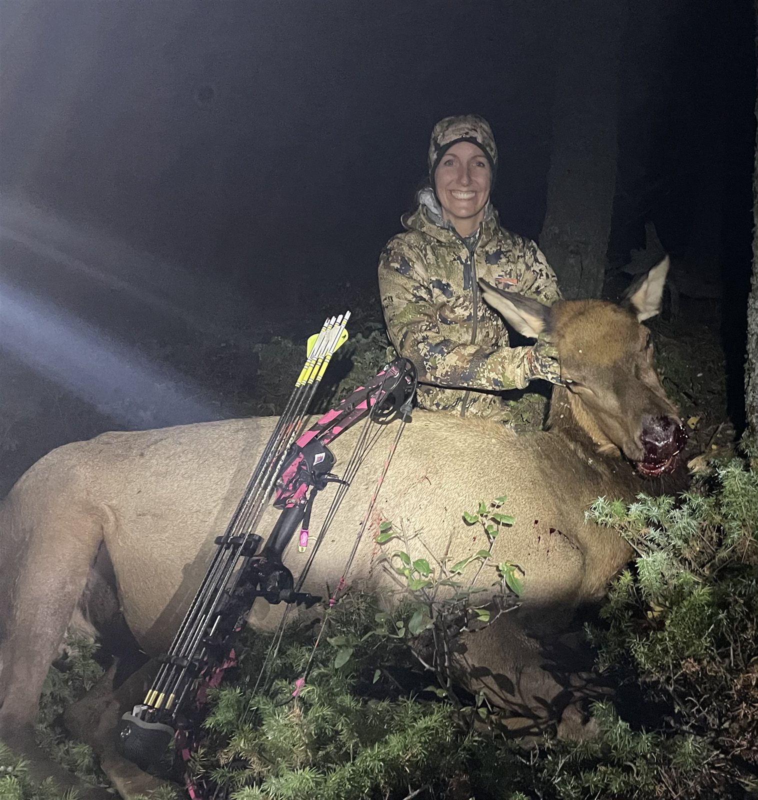 Cow Elk taken with GrizzlyStik, bowhunting success story