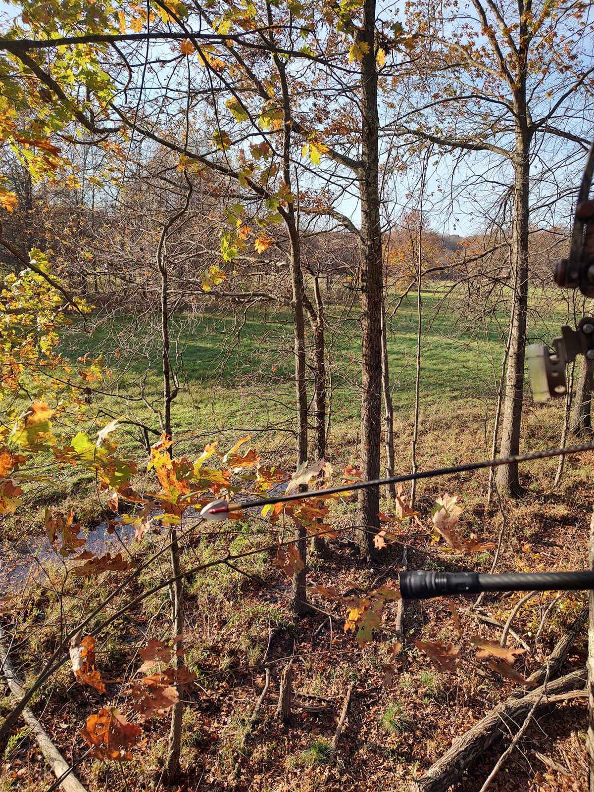 Deer taken with GrizzlyStik, bowhunting success story