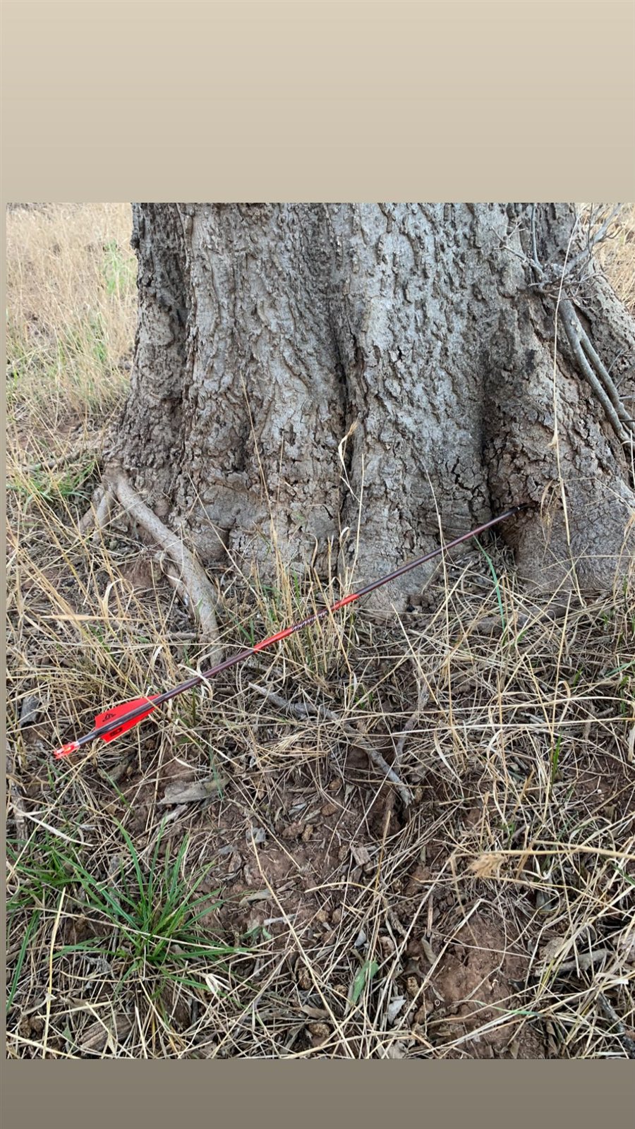 Doe taken with GrizzlyStik, bowhunting success story