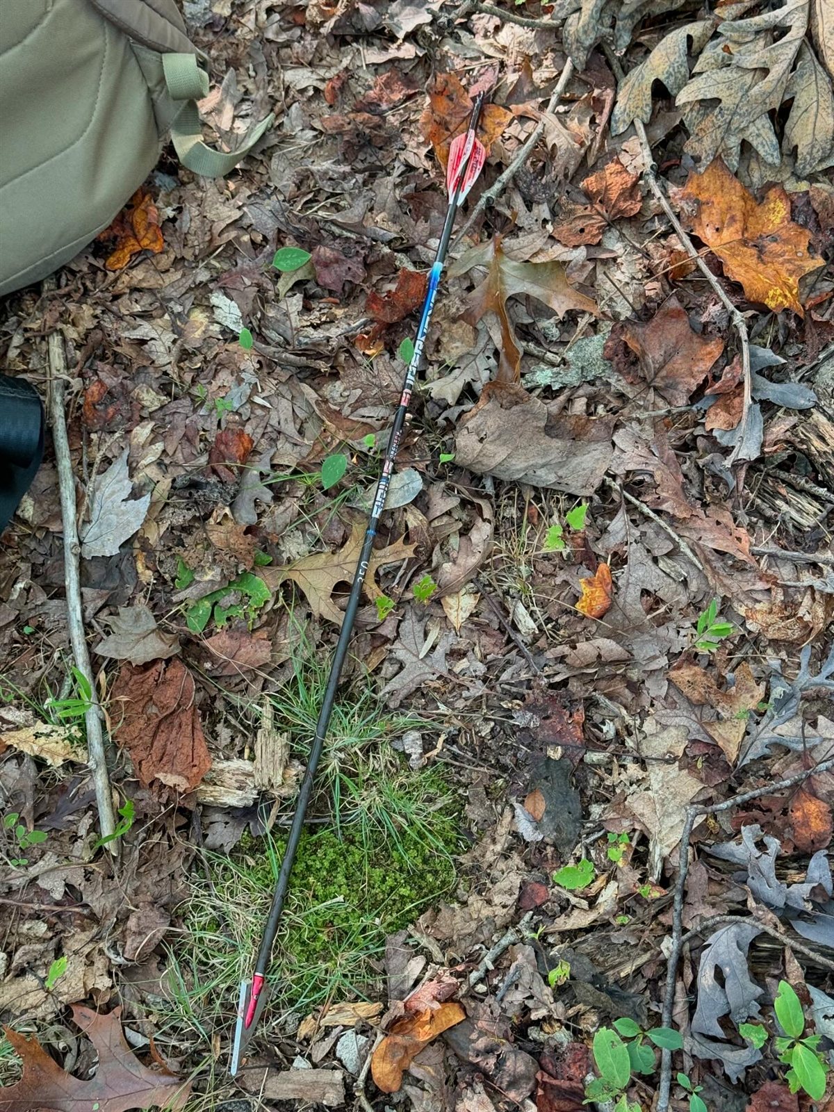 Doe taken with GrizzlyStik, bowhunting success story