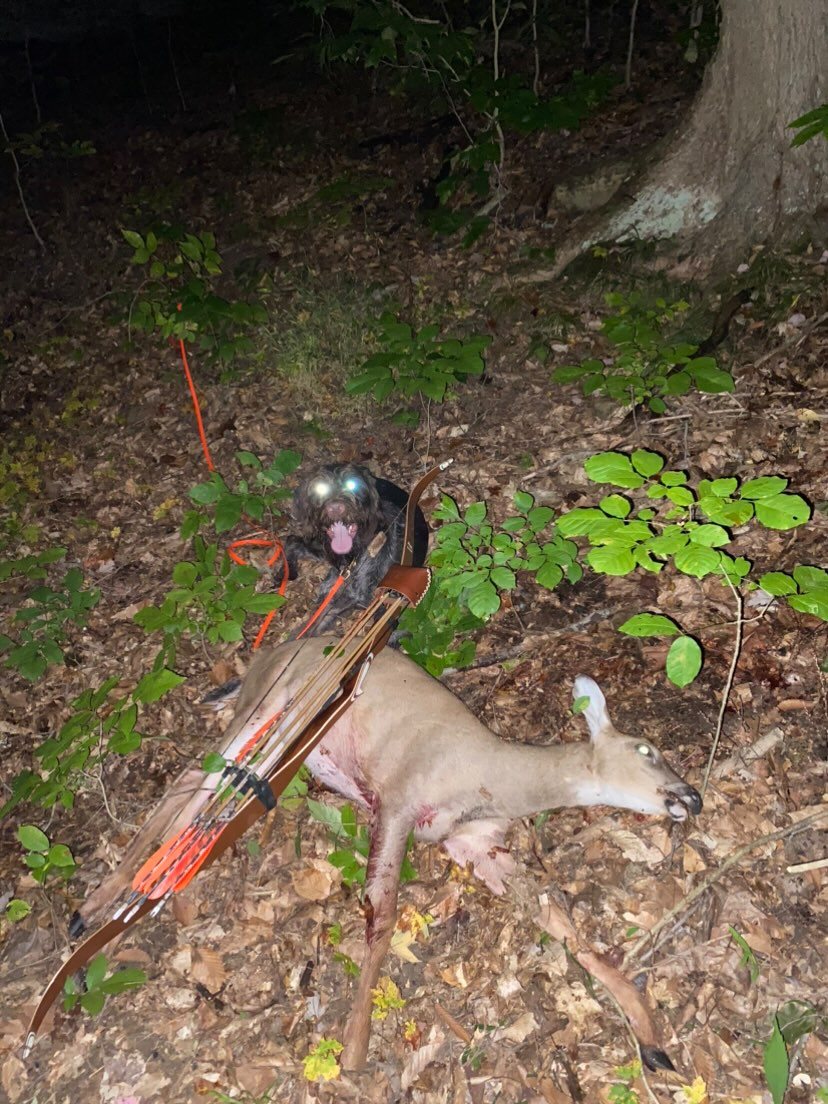 Doe taken with GrizzlyStik, bowhunting success story