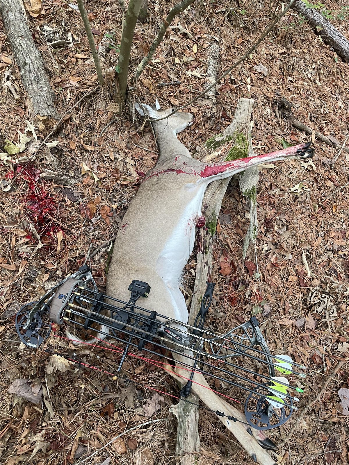 Doe taken with GrizzlyStik, bowhunting success story