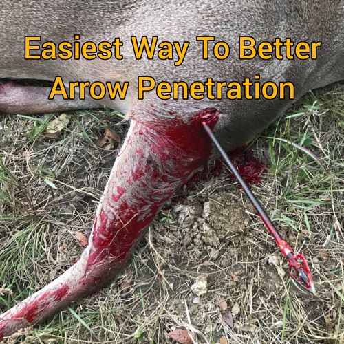 Easiest Way To Better Arrow Penetration