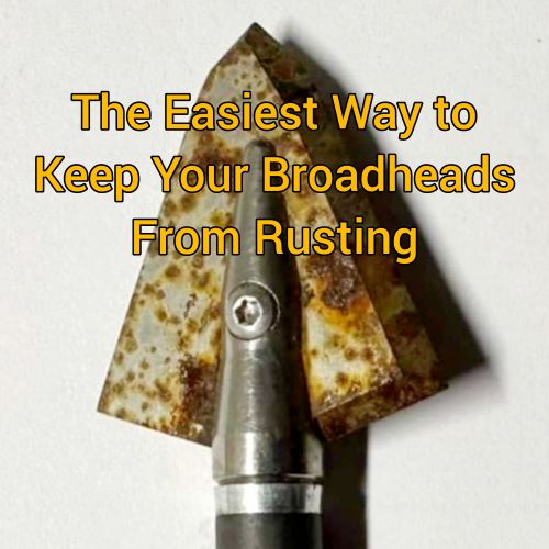 The Easiest Way to Keep Your Broadheads from Rusting
