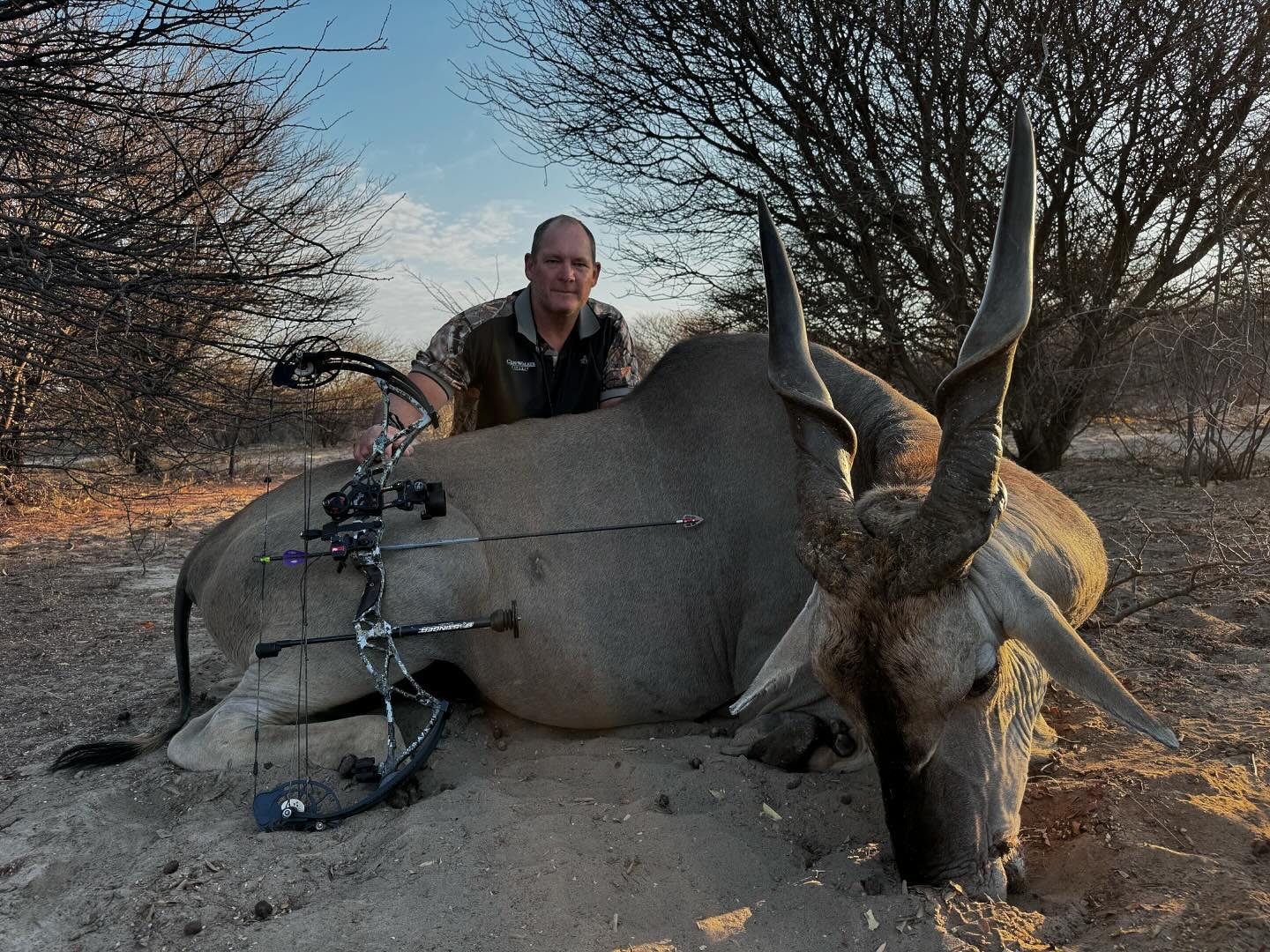 Eland taken with GrizzlyStik, bowhunting success story