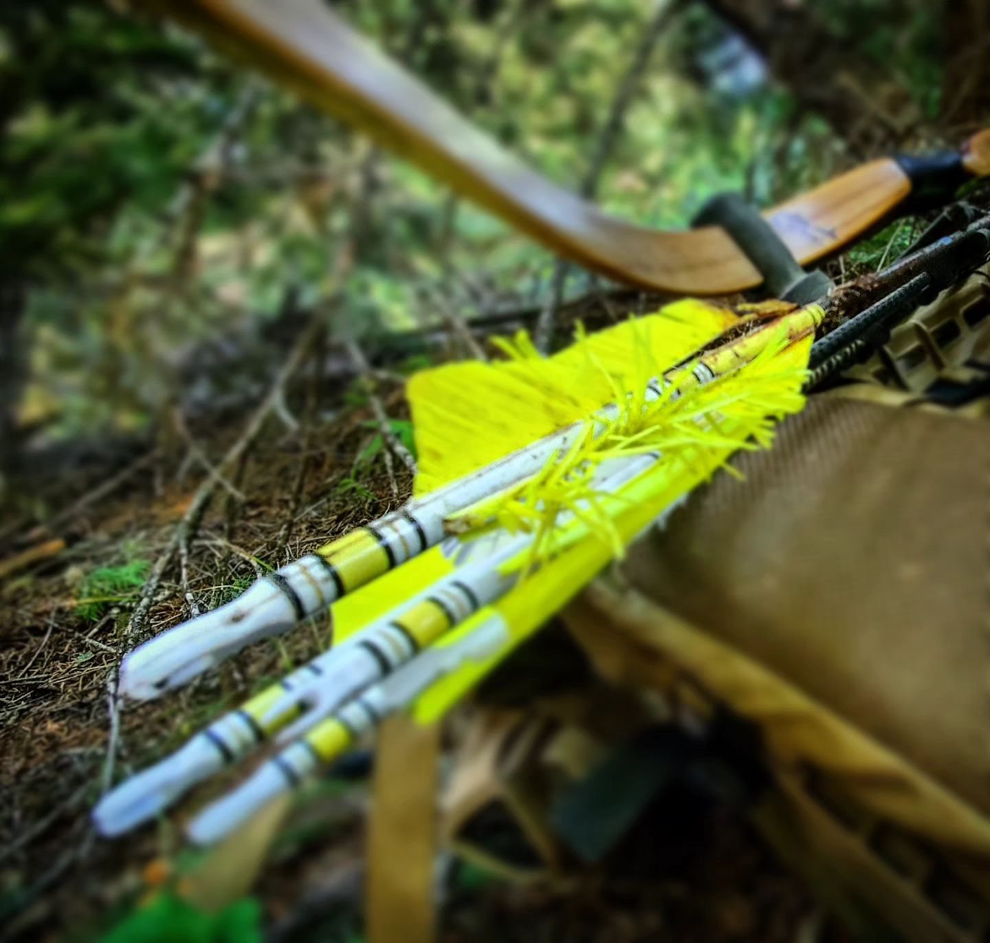 Elk taken with GrizzlyStik, bowhunting success story