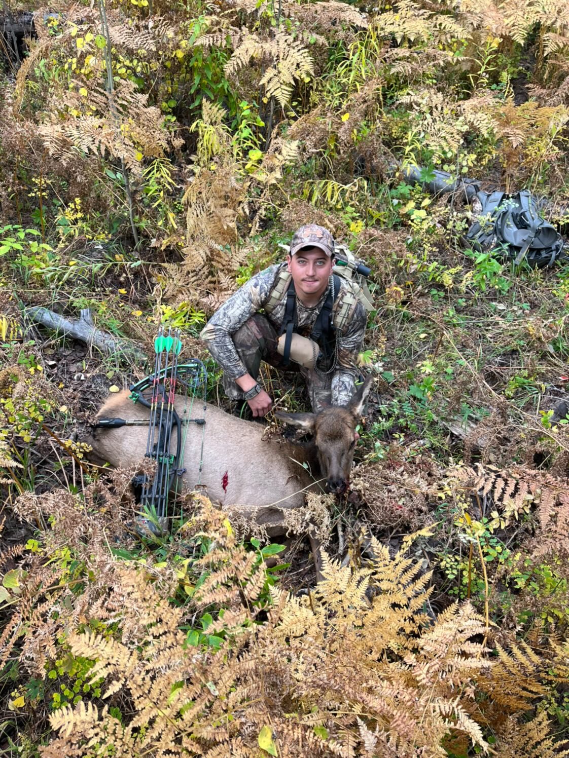 Elk taken with GrizzlyStik, bowhunting success story