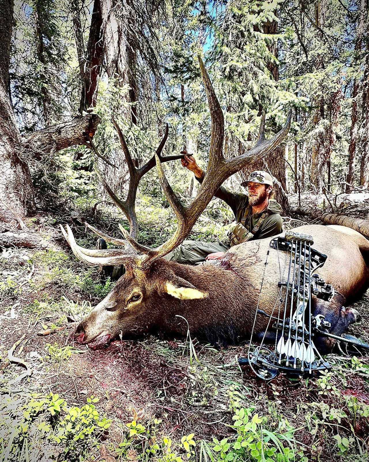 Elk taken with GrizzlyStik, bowhunting success story