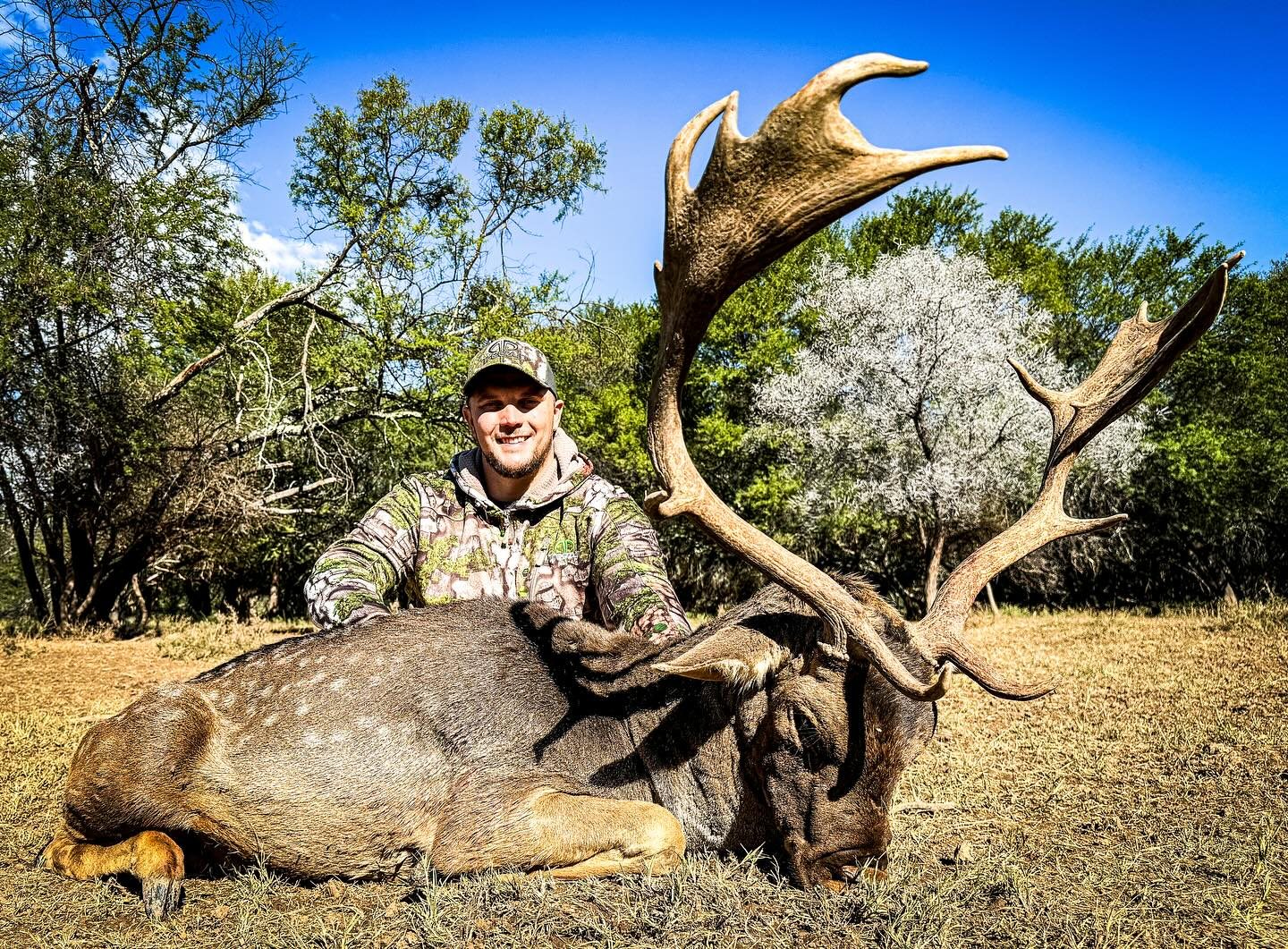 Fallow Deer taken with GrizzlyStik, bowhunting success story