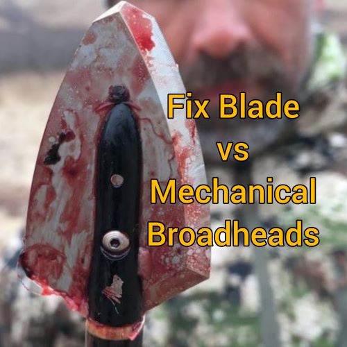 Fixed blade Vs Mechanical Broadheads