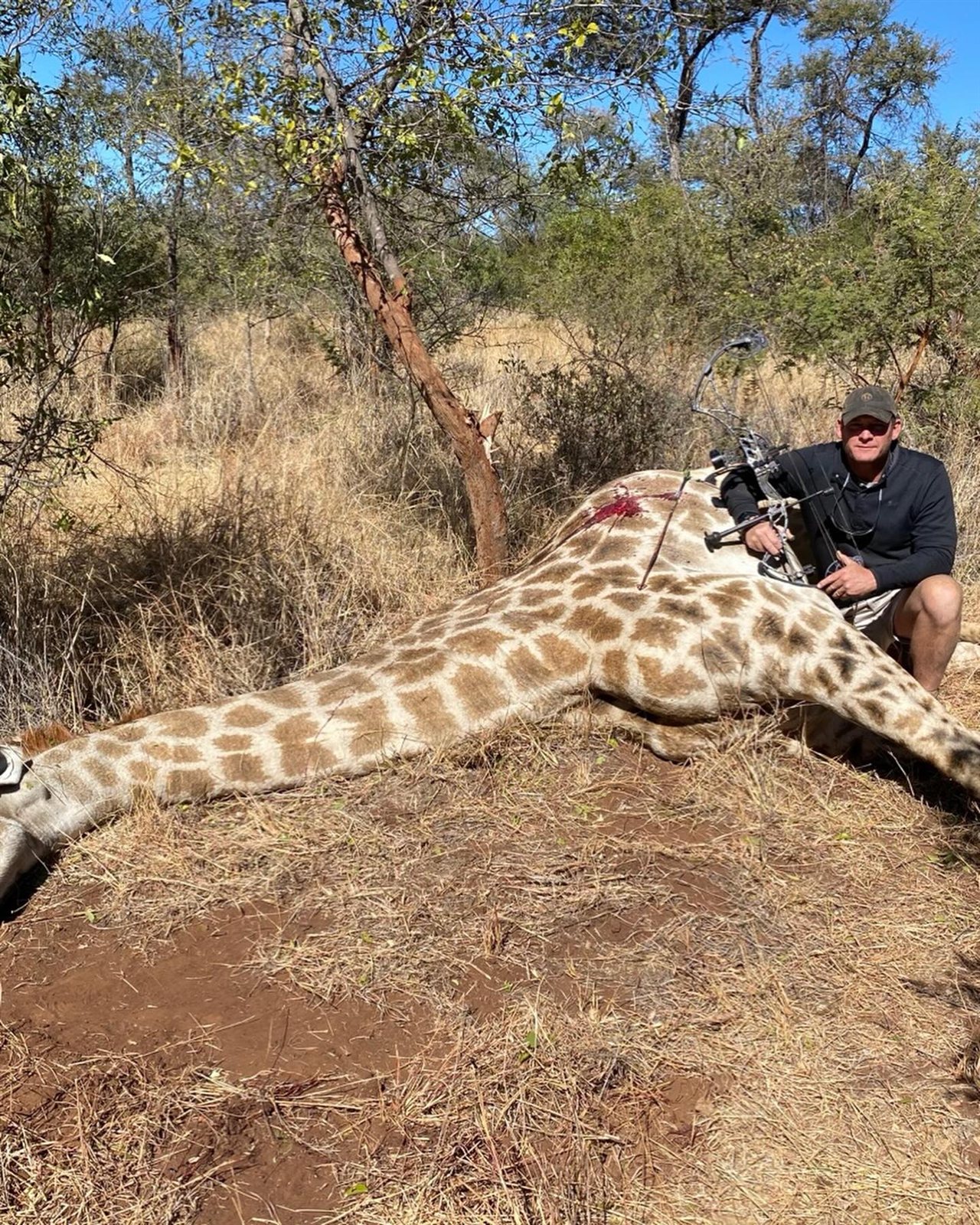Giraffe taken with GrizzlyStik, bowhunting success story