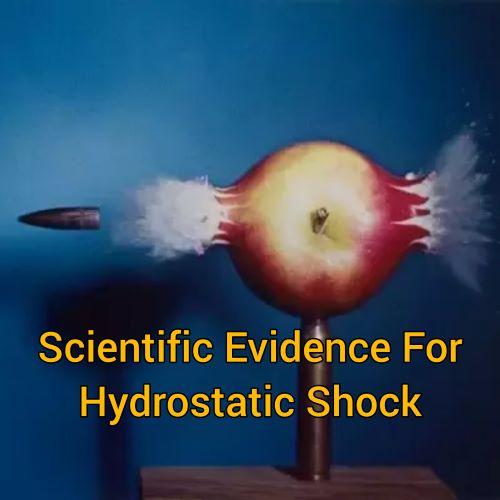 Scientific Evidence for “Hydrostatic Shock”