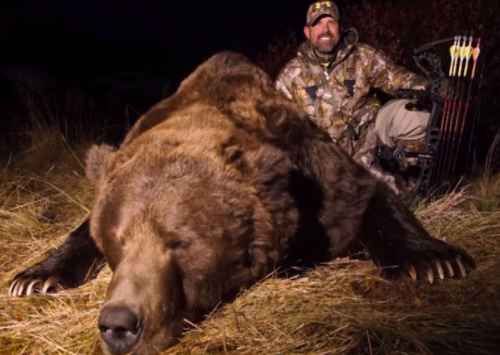 P&Y #9 Alaskan Brown Bear