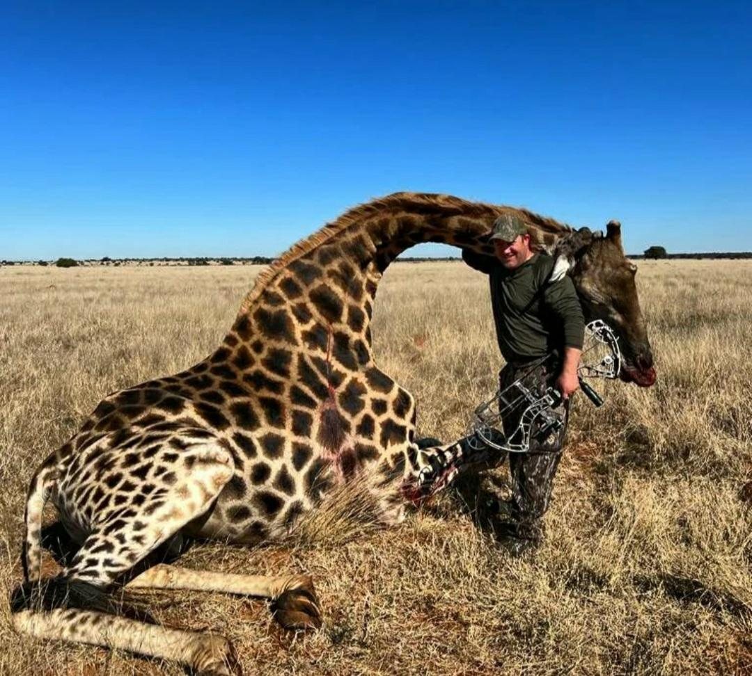Other Game taken with GrizzlyStik, bowhunting success story
