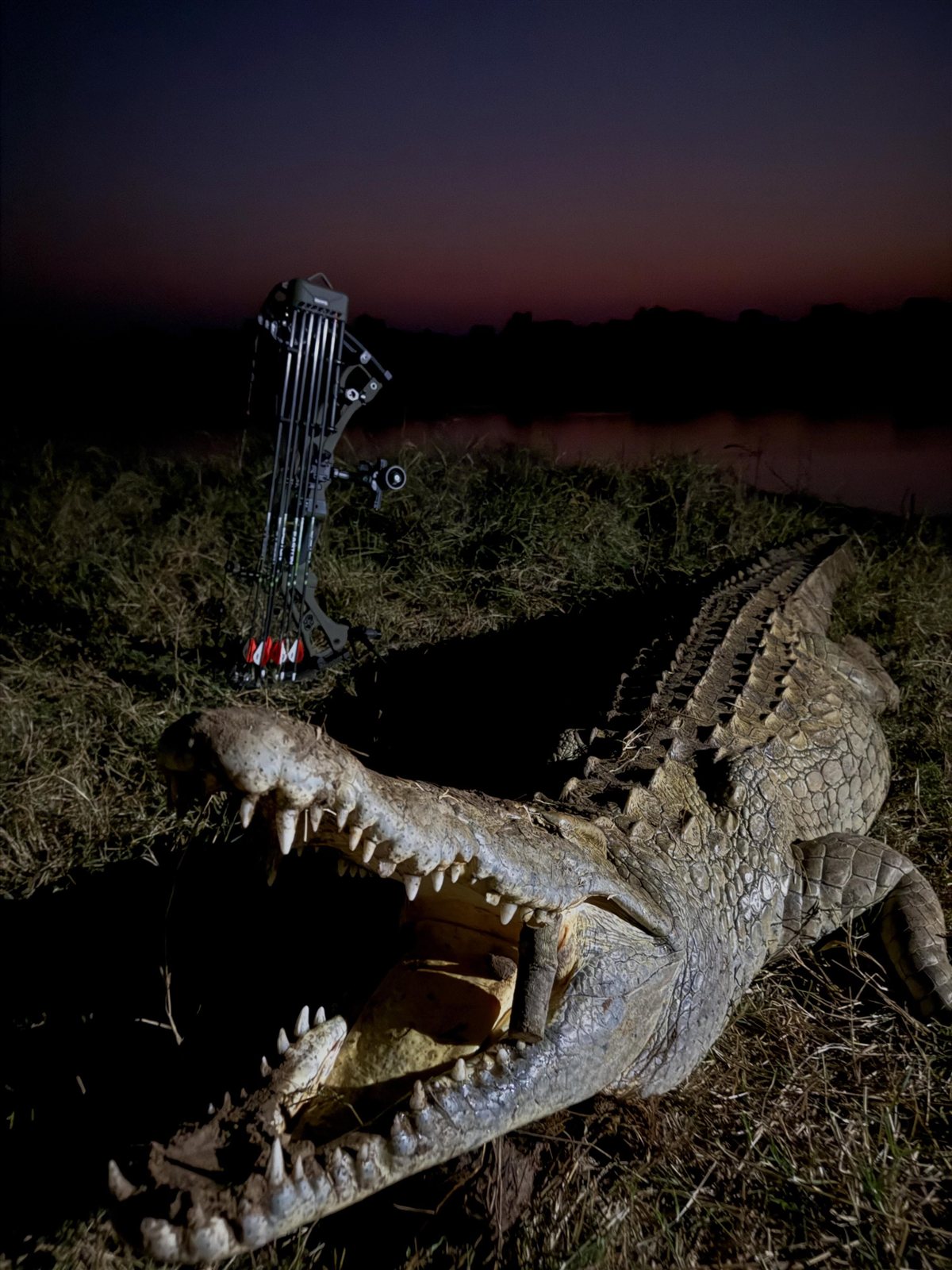Nile Crocodile taken with GrizzlyStik, bowhunting success story