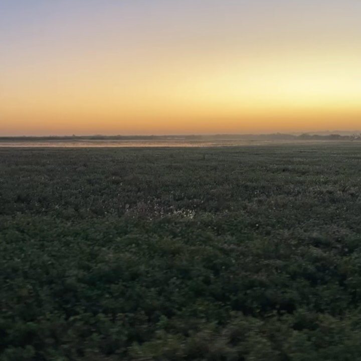Nilgai taken with GrizzlyStik, bowhunting success story