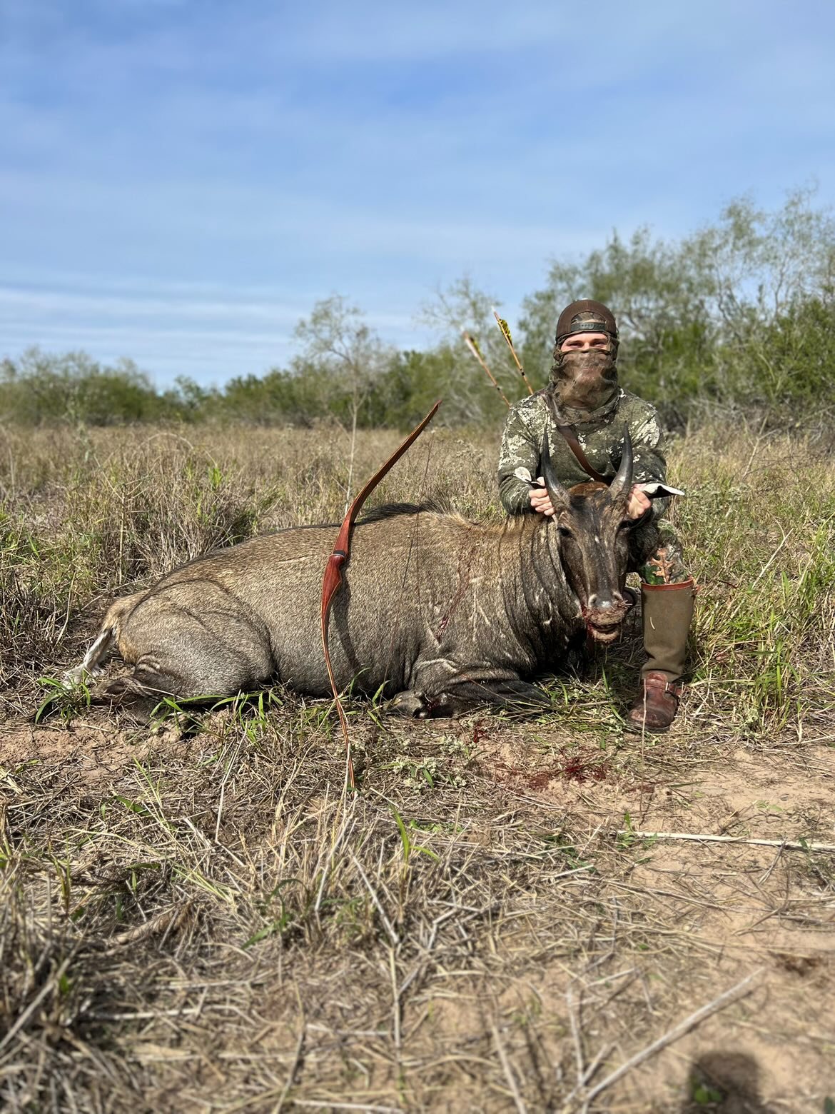 Nilgai taken with GrizzlyStik, bowhunting success story