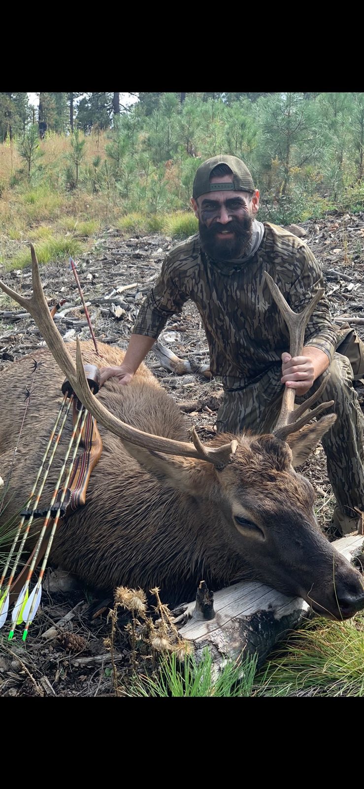 Other Game taken with GrizzlyStik, bowhunting success story