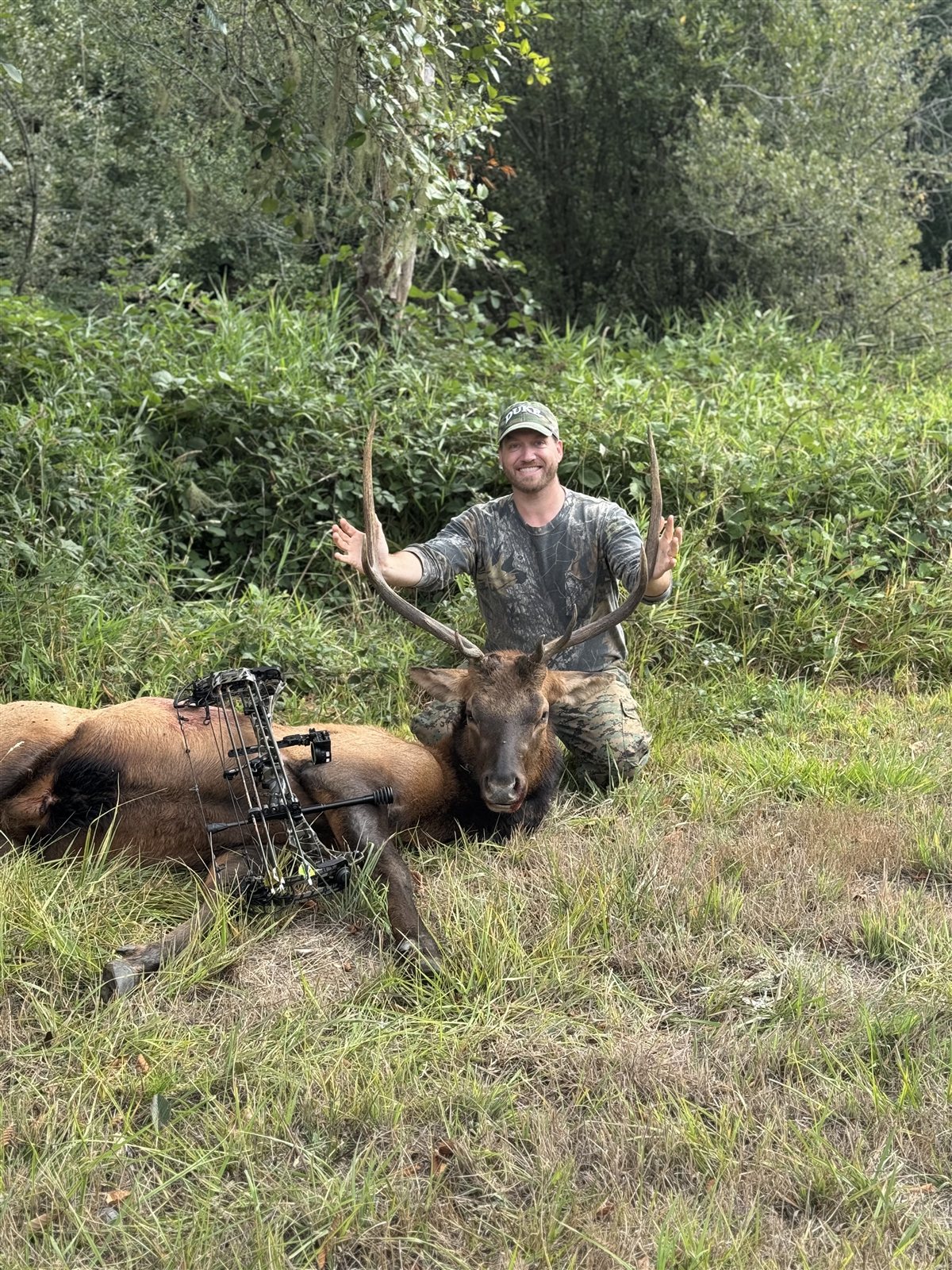 Roosevelt Elk taken with GrizzlyStik, bowhunting success story