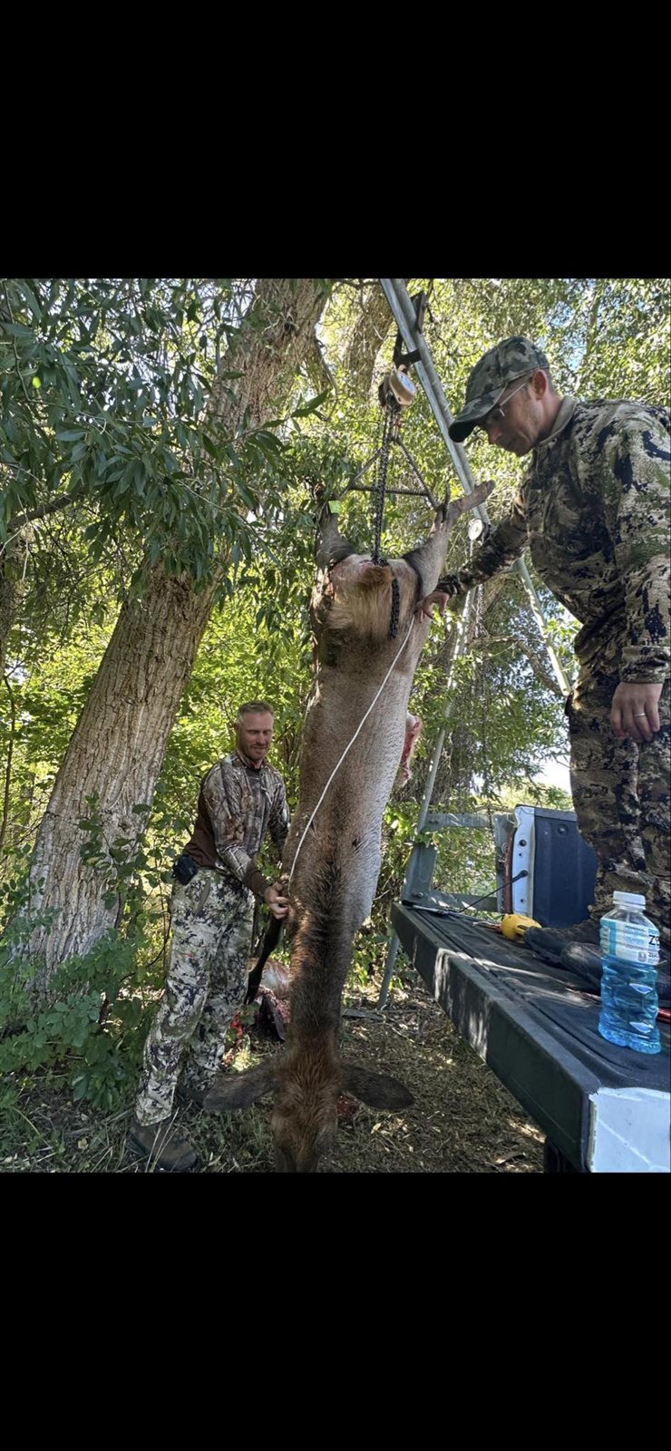 Other Game taken with GrizzlyStik, bowhunting success story