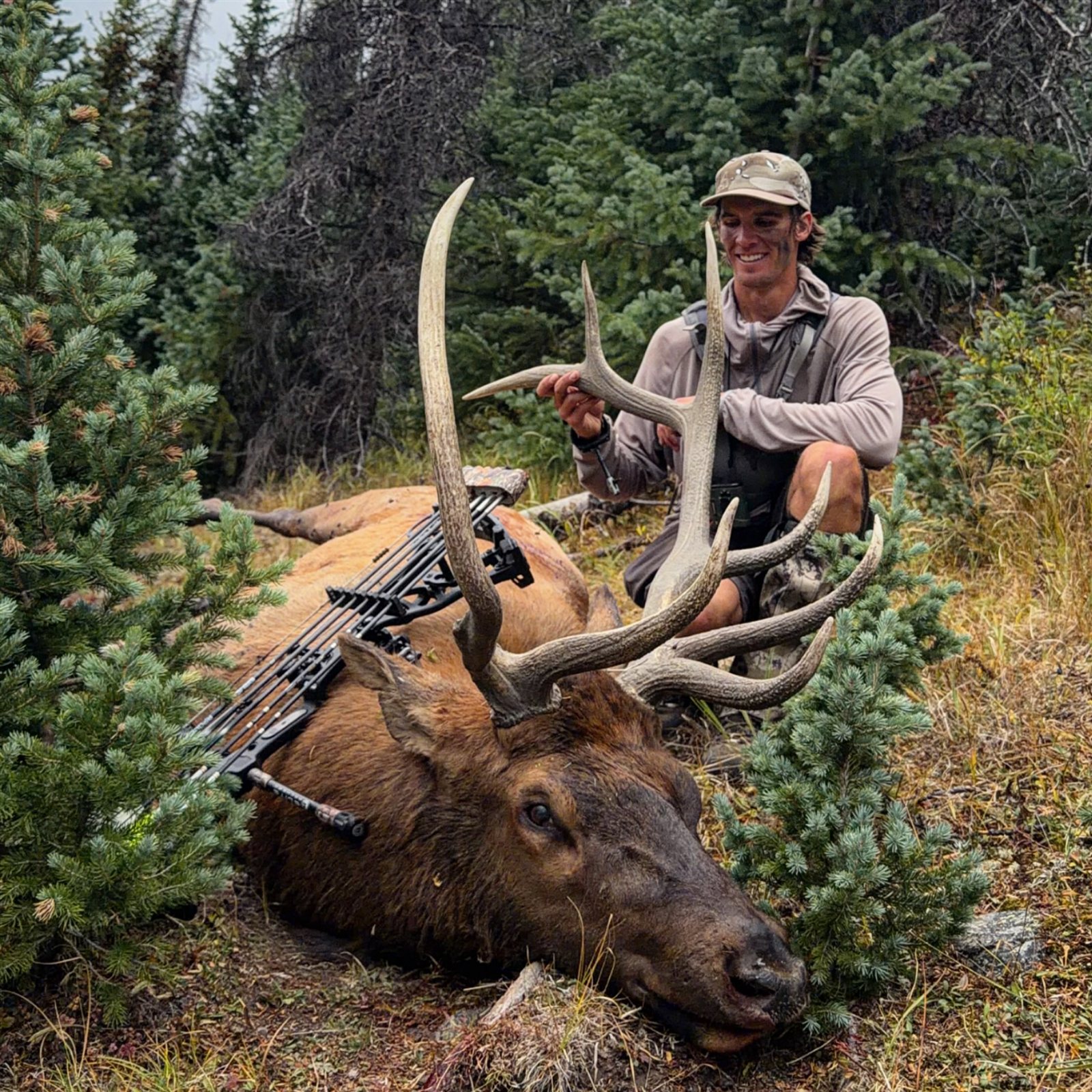 Bull taken with GrizzlyStik, bowhunting success story