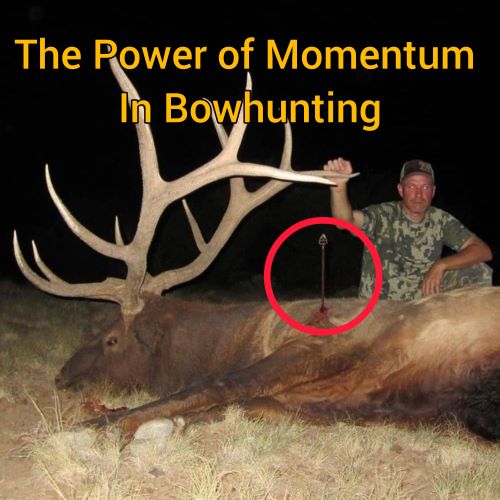 The Power of Momentum In Bowhunting