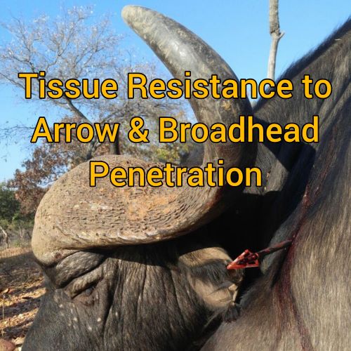 Tissue Resistance to Arrow and Broadhead Penetration