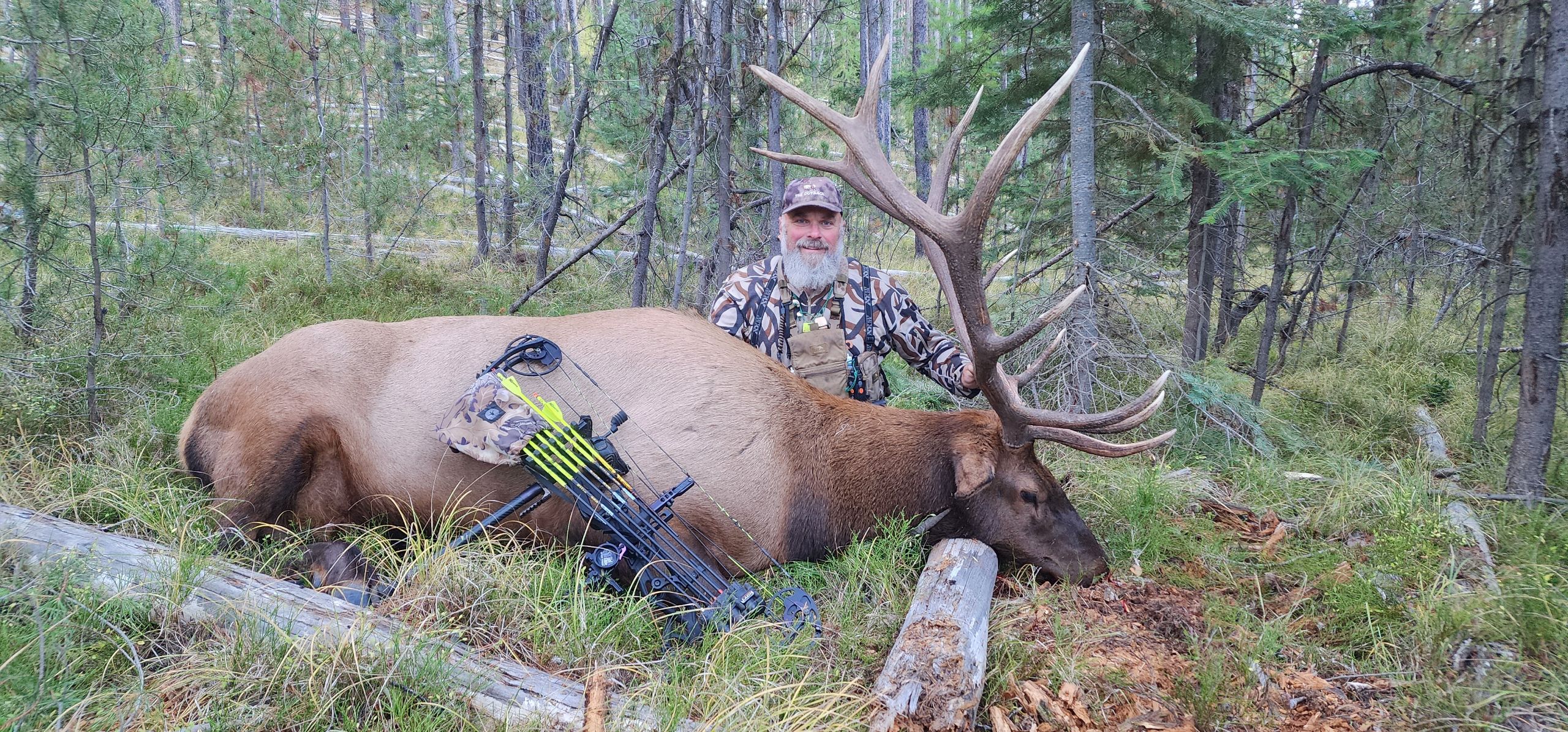 Elk archery hunting success