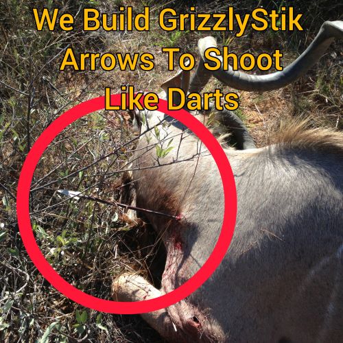 We Build GrizzlyStik Arrows to Shoot Like Darts