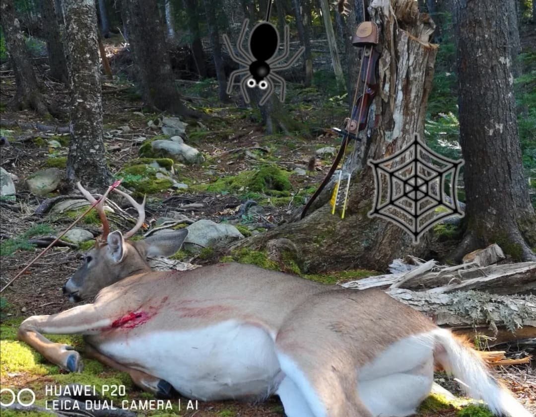 Whitetail taken with GrizzlyStik, bowhunting success story