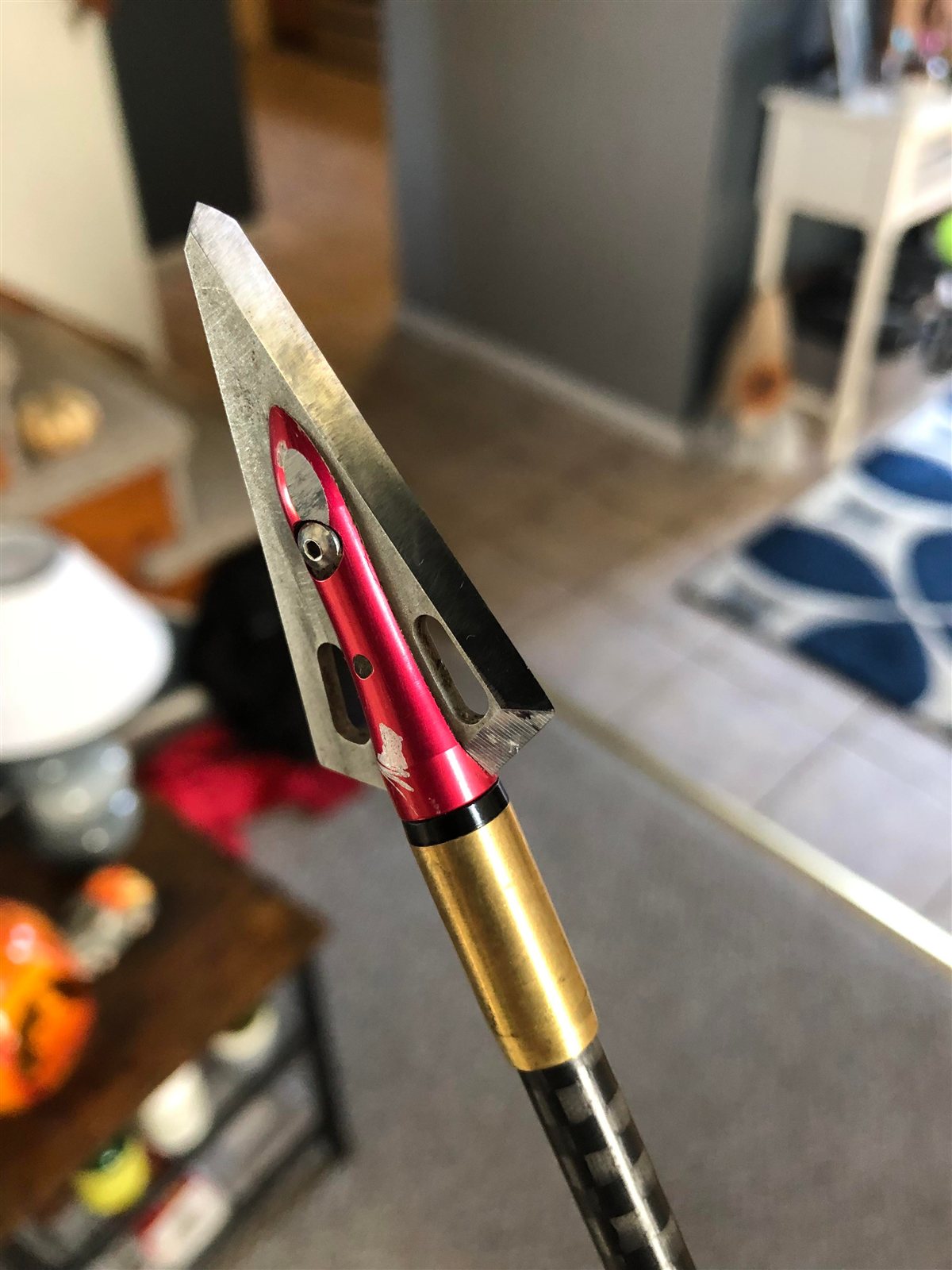 Whitetail Buck taken with GrizzlyStik, bowhunting success story