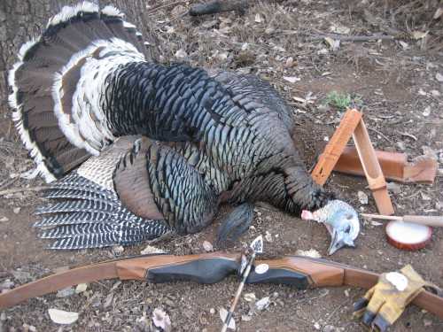 Silver Flame Turkey Success